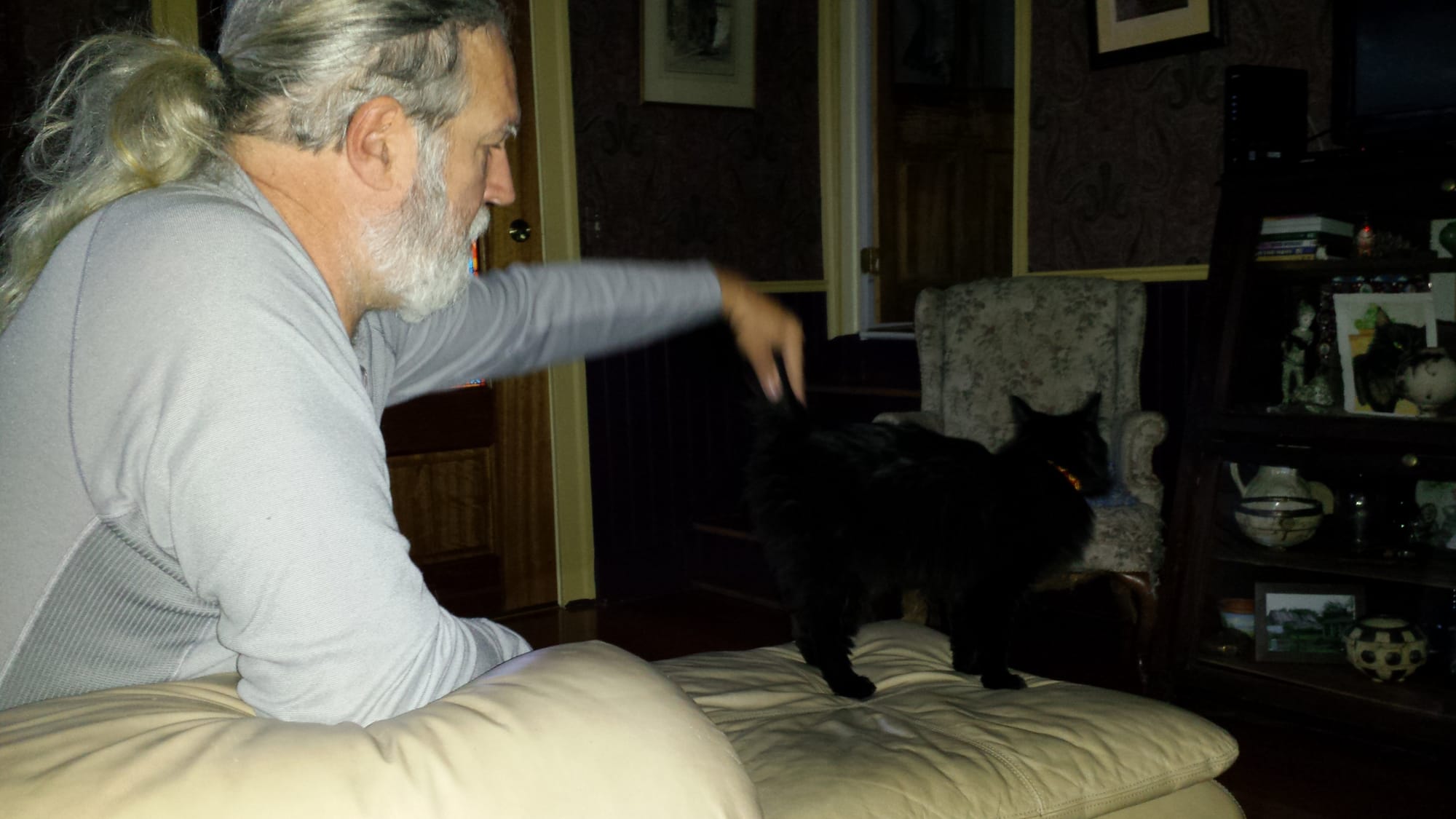 The elusive cat emerges