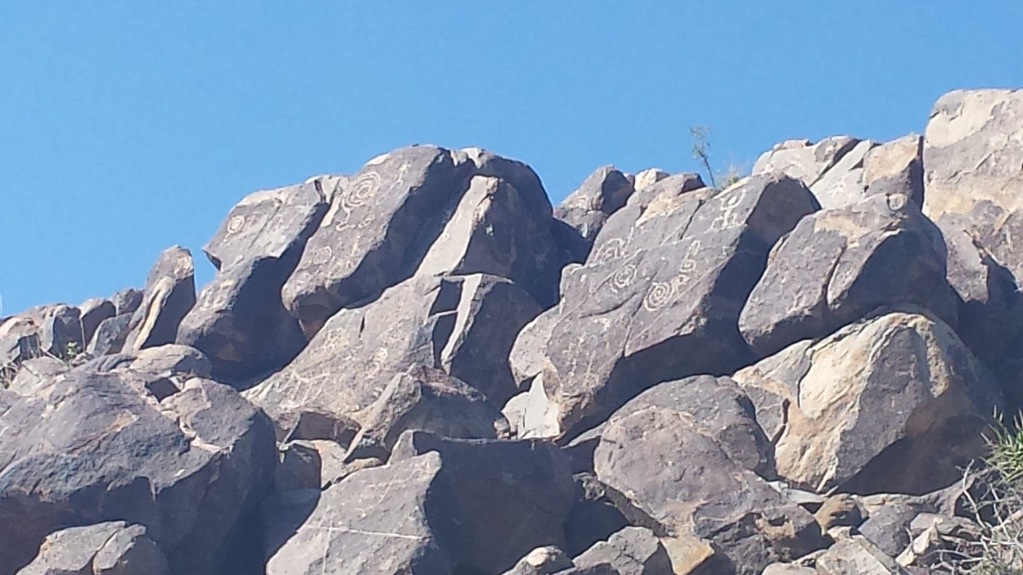 Glyphs of Ancient Animals