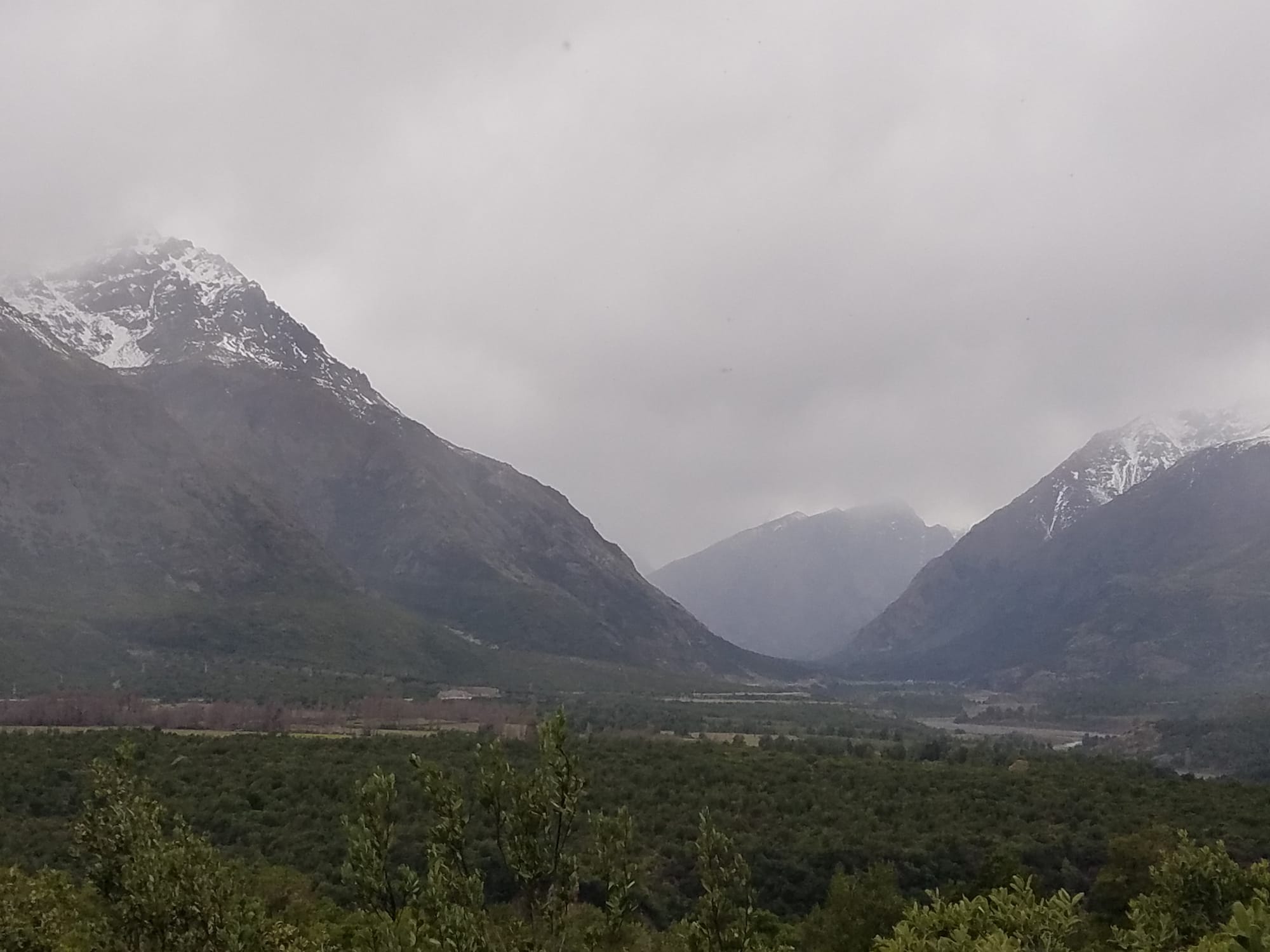 View of the Andes from Reserva Nacional Rio de Los Cipreses
