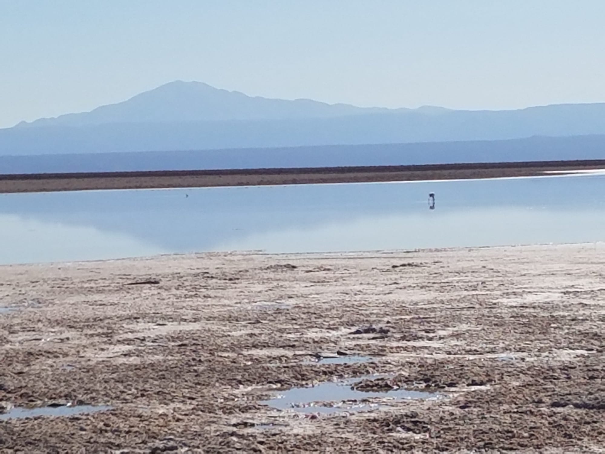 The Salt Flats at Los Flamencos National Reserve