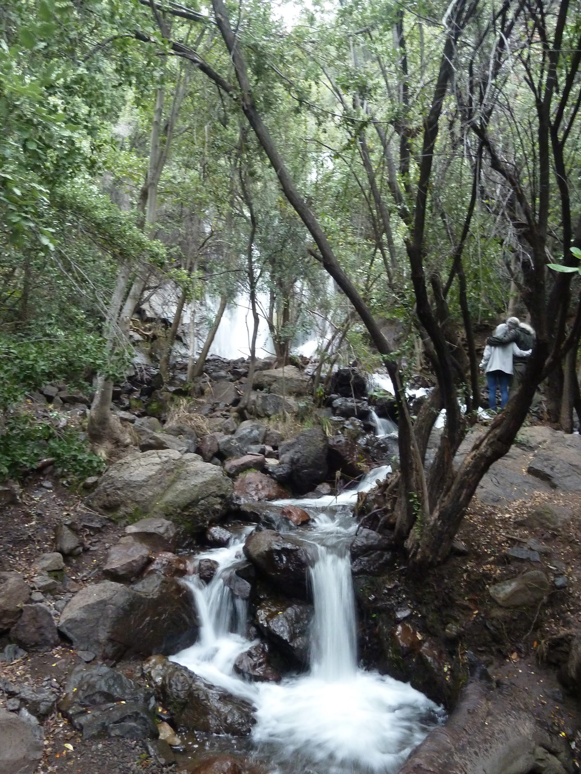 Hiking in the Reserva Nacional Rio de Los Cipreses