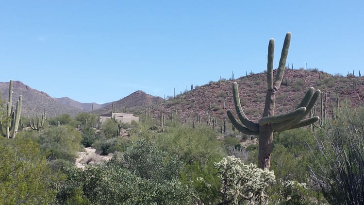 Tucson Business Trip